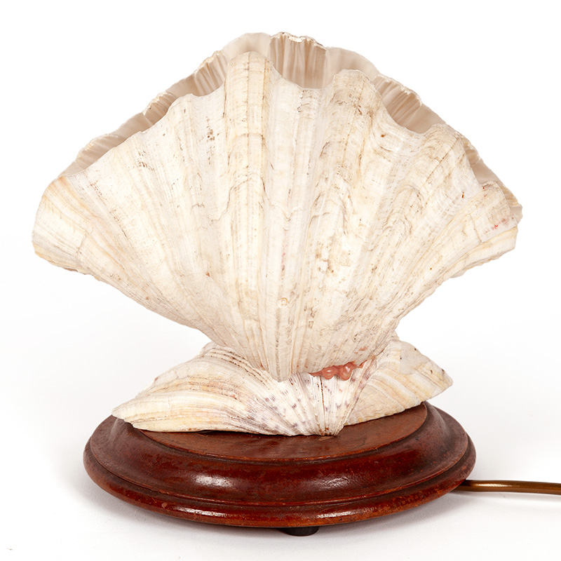 Large Art Deco Double Shell Scallop Table Lamp